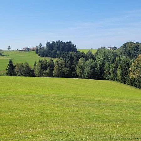 Anna Altreichenau Apartman Neureichenau Kültér fotó