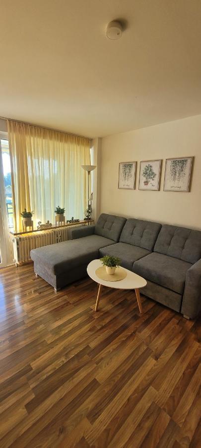 Anna Altreichenau Apartman Neureichenau Kültér fotó