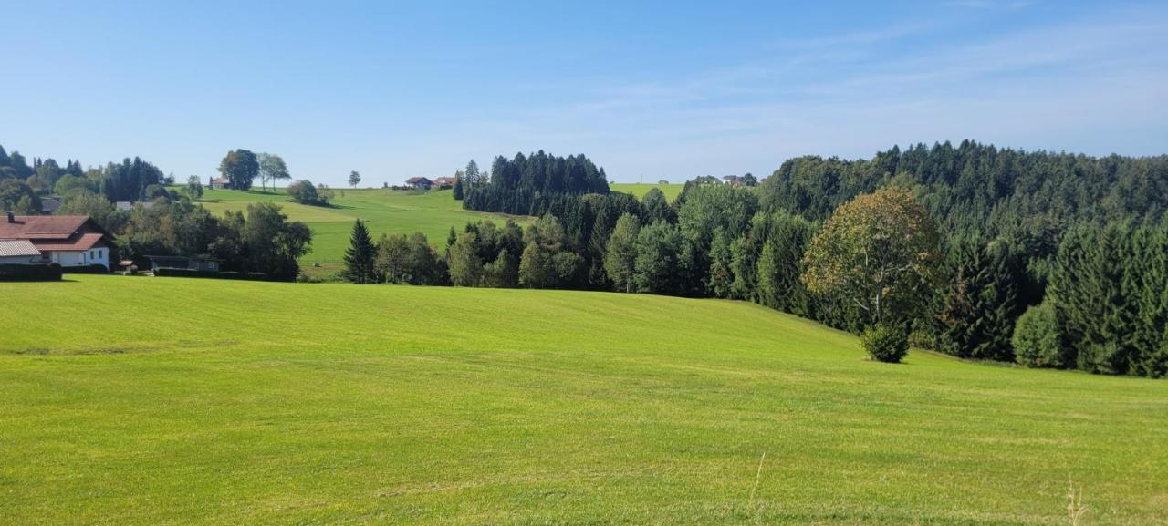 Anna Altreichenau Apartman Neureichenau Kültér fotó
